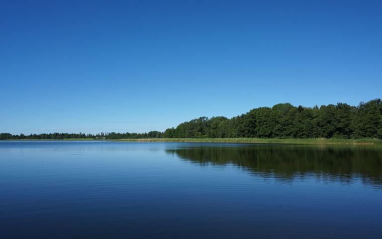 Markusböle fjärden